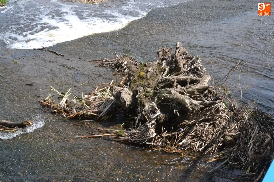 Foto 3 - Cambio radical en la imagen del Regato Bod&oacute;n aguas arriba de Santa Marina  