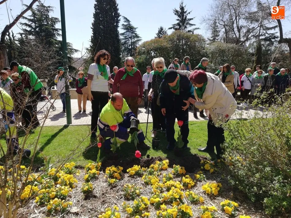 Foto 4 - Tulipanes para conmemorar el D&iacute;a Mundial del Parkinson  