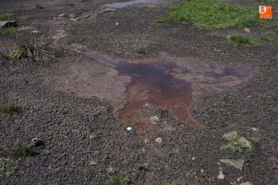 Foto 11 - Se descubre un vertido de purines a escasos metros de Guijuelo