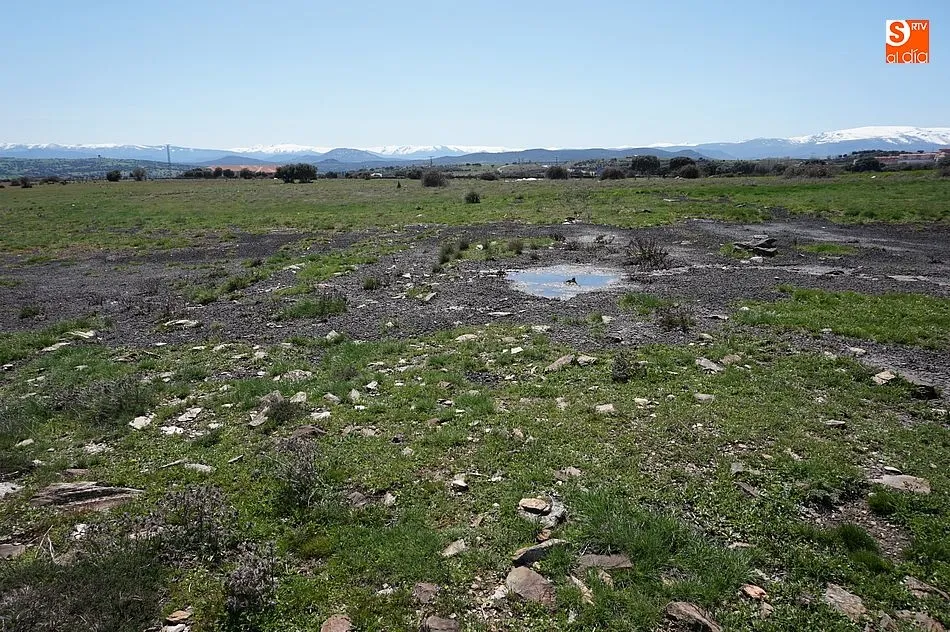 Foto 5 - Se descubre un vertido de purines a escasos metros de Guijuelo