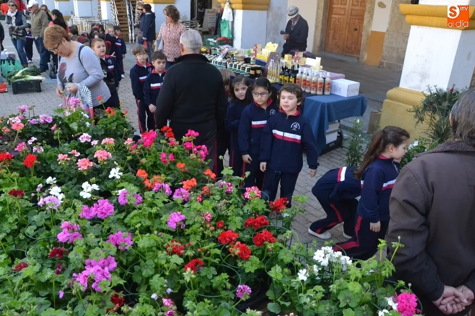 1Foto: De paseo escolar por el Mercado de los Martes  
