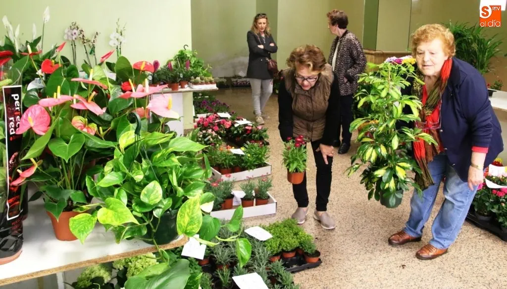 Este año, el local se encuentra situado en la calle Sánchez Llevot