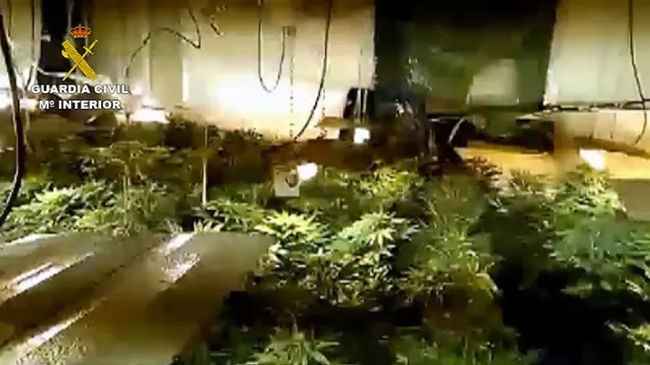 Foto 4 - Desarticulada una red criminal dedicada al tr&aacute;fico de drogas y al robo de mercanc&iacute;a en camiones...