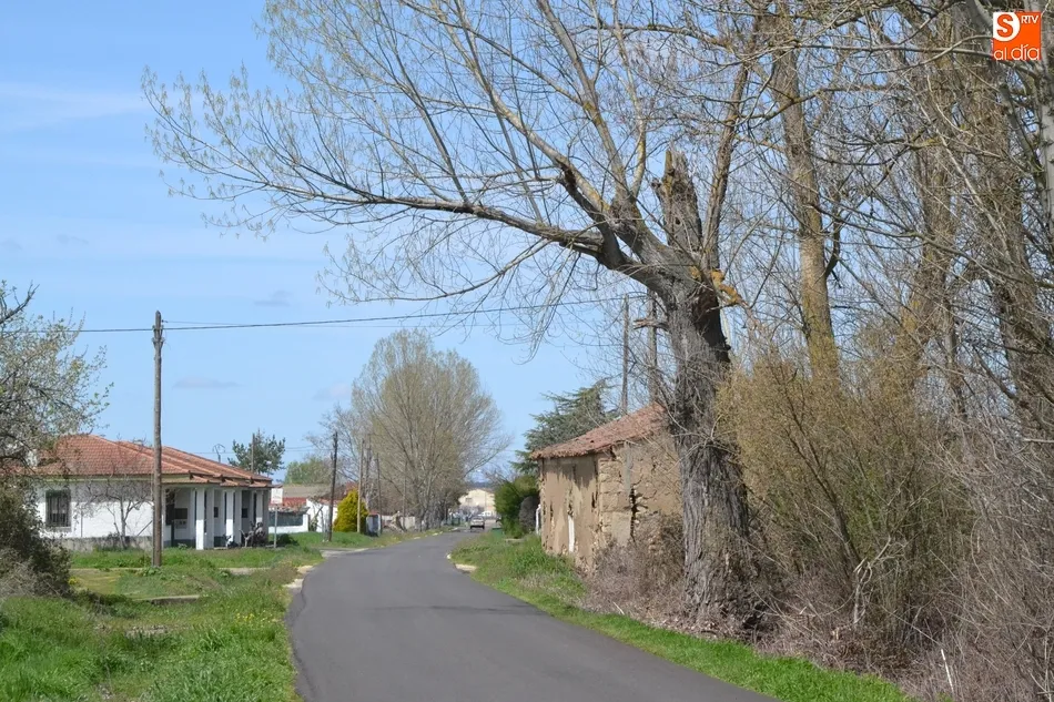 Los vecinos del Regato Bodón piden que se limpien las cunetas de la zona  