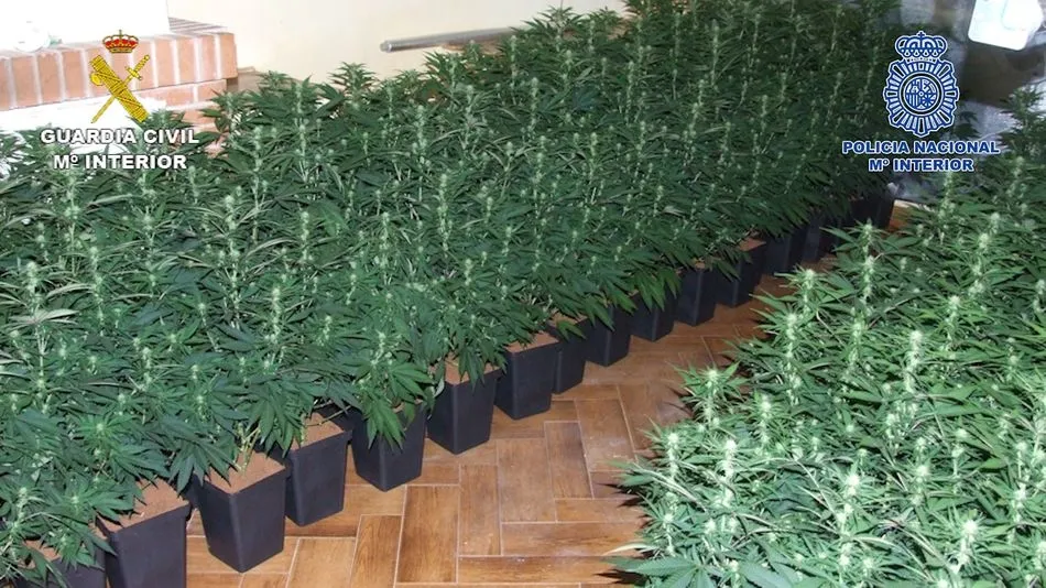 Foto 3 - Desarticulada una banda dedicada al narcotr&aacute;fico que intent&oacute; matar a un hombre en Villares