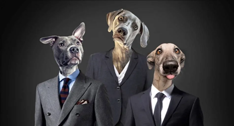 	‘Vida Perra, Perra Vida’ está compuesto por cuatro cuentos escritos para la ocasión que se intercalan con diálogos rápidos, directos y poco sutiles