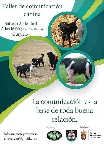Foto 3 - Triever Can celebra un nuevo taller canino ma&ntilde;ana s&aacute;bado