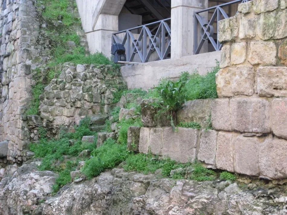 Foto 6 - Suciedad, orines recientes y nuevas pintadas en la Cueva de Salamanca