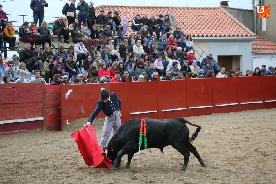 Foto 11 - Tarde taurina en honor a San Jorge en Olmedo de Camaces  