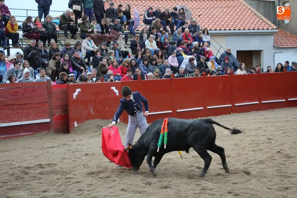 Foto 10 - Tarde taurina en honor a San Jorge en Olmedo de Camaces  