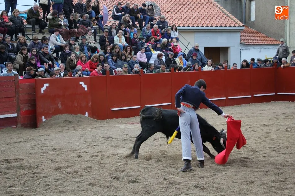Foto 8 - Tarde taurina en honor a San Jorge en Olmedo de Camaces  
