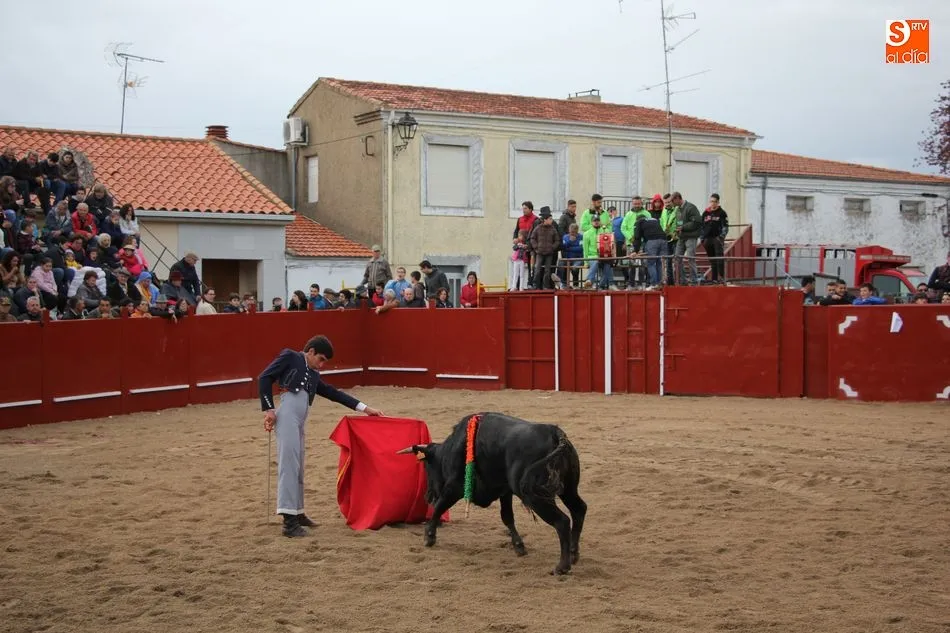 Foto 4 - Tarde taurina en honor a San Jorge en Olmedo de Camaces  