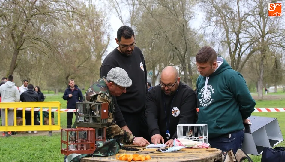 Jueces y organizadores de este concurso social de Canto en la Isla del Soto. Foto de Alberto Martín