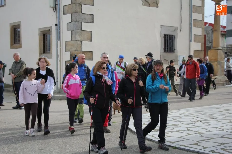 Foto 5 - La II Ruta de Senderismo de Sobradillo, un paseo para disfrutar  