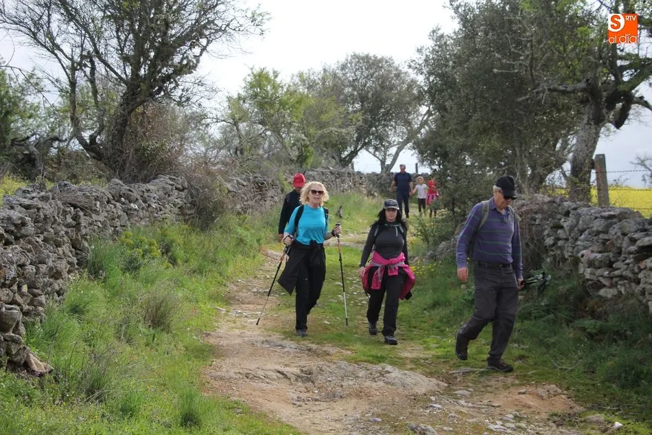 Foto 10 - La II Ruta de Senderismo de Sobradillo, un paseo para disfrutar  