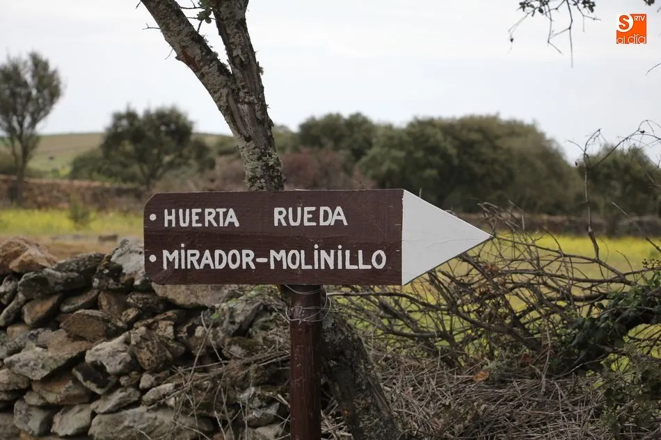 Foto 9 - La II Ruta de Senderismo de Sobradillo, un paseo para disfrutar  