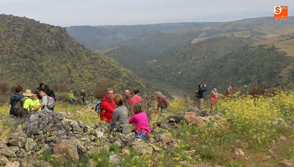 Los senderistas fueron testigos de las espectaculares imágenes de un Duero crecido surcando Las Arribes / CORRAL