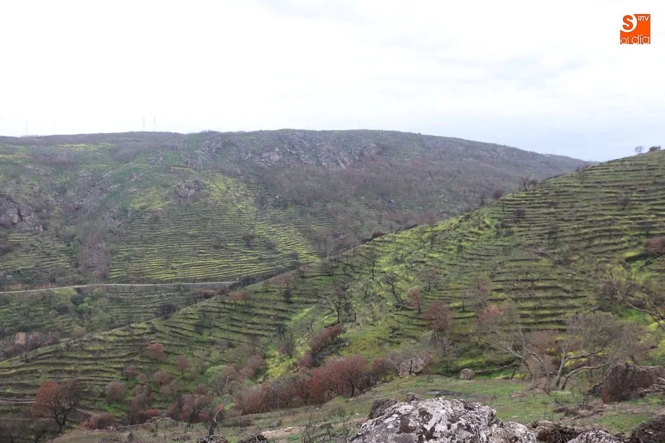 Foto 4 - Pere&ntilde;a muestra sus extraordinarias arribes en una nueva marcha senderista para recordar  