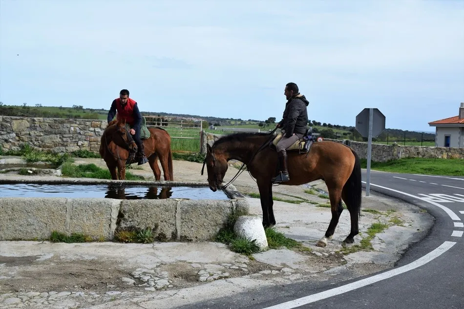 Foto 7 - Aldea del Obispo da la salida a la 2&ordf; jornada de la Ruta Ecuestre de las Fortificaciones  