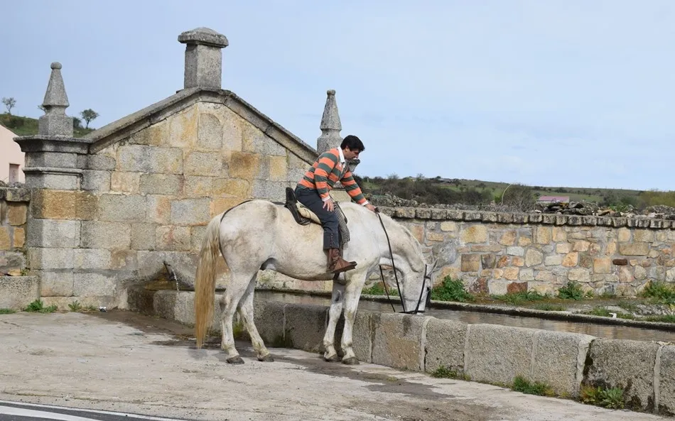Foto 8 - Aldea del Obispo da la salida a la 2&ordf; jornada de la Ruta Ecuestre de las Fortificaciones  
