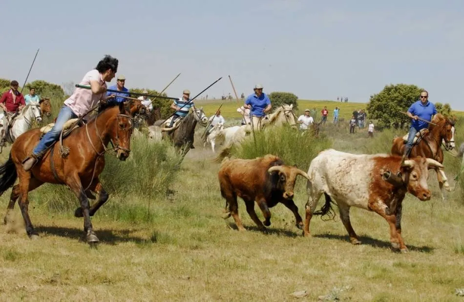 Uno de los encierros del año pasado | Fotografía: Javier Antúnez