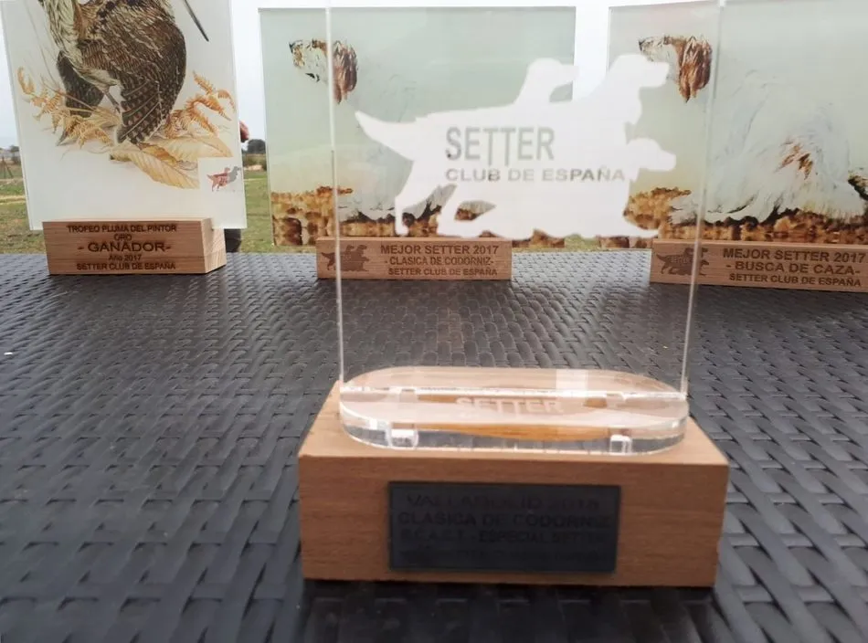 Foto 10 - Setters, codornices, aficionados y el Show: la Cl&aacute;sica del Setter Club  