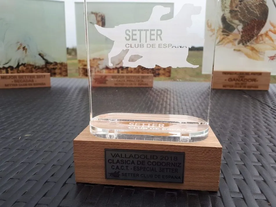 Foto 4 - Setters, codornices, aficionados y el Show: la Cl&aacute;sica del Setter Club  
