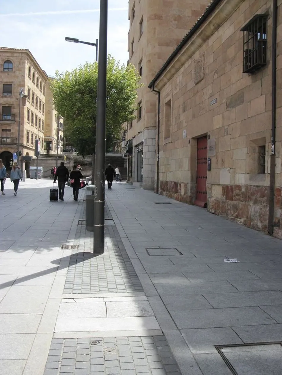 Foto 9 - Piden la reposici&oacute;n del arbolado perdido en Salamanca