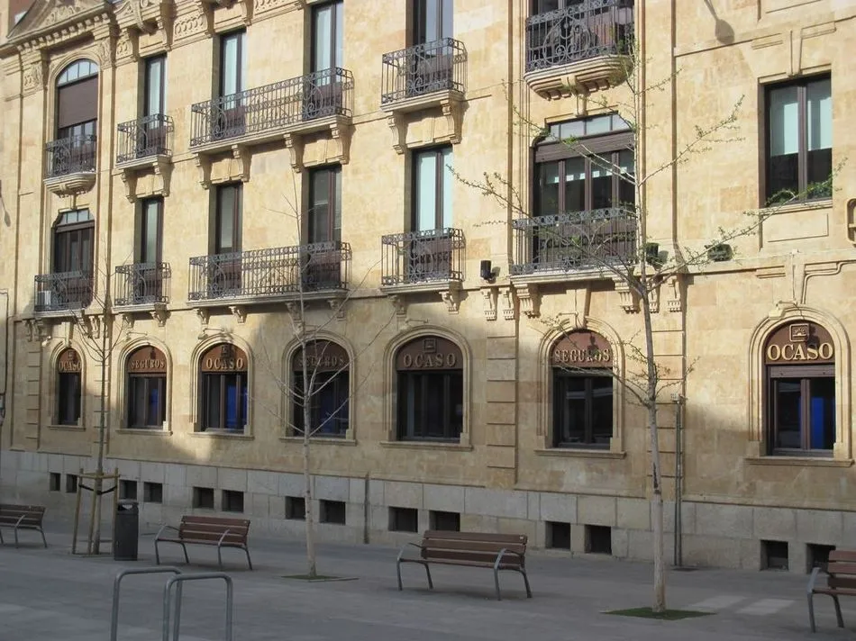 Foto 4 - Piden la reposici&oacute;n del arbolado perdido en Salamanca