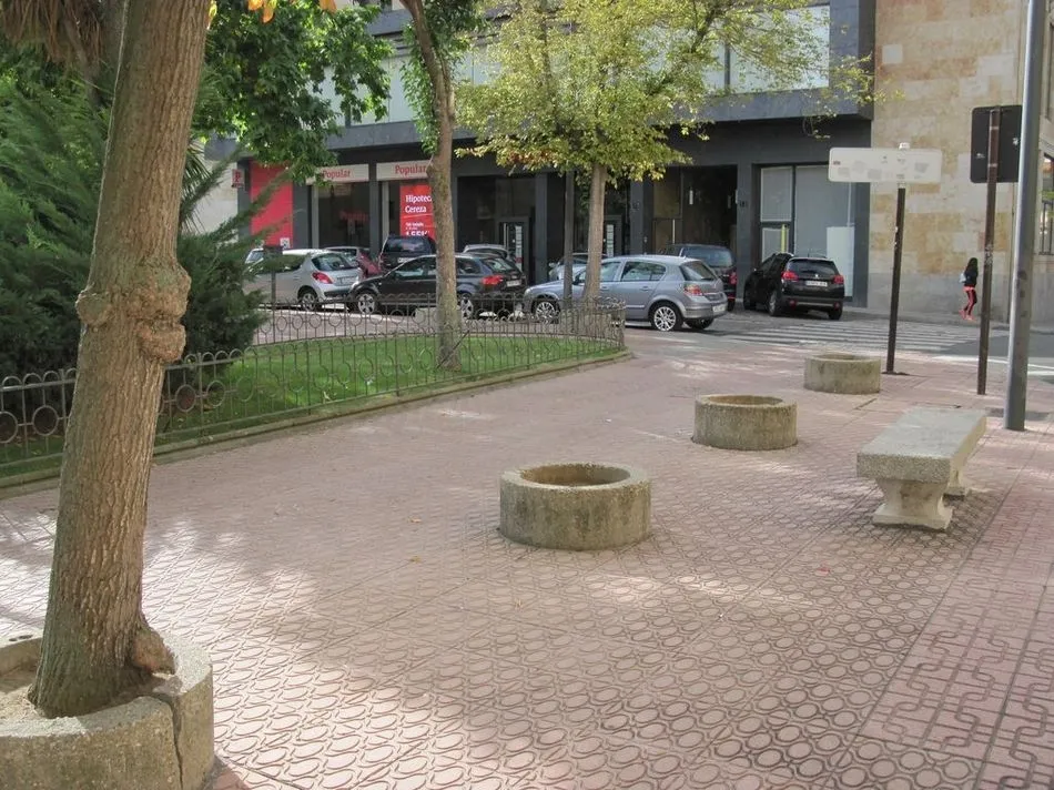 Foto 3 - Piden la reposici&oacute;n del arbolado perdido en Salamanca