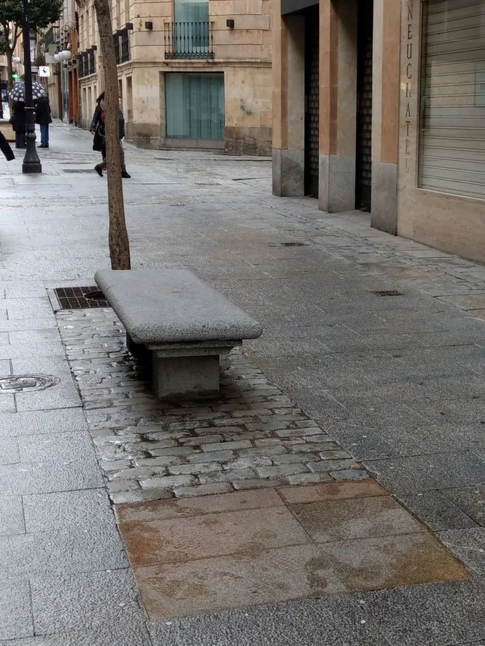 Foto 2 - Piden la reposici&oacute;n del arbolado perdido en Salamanca