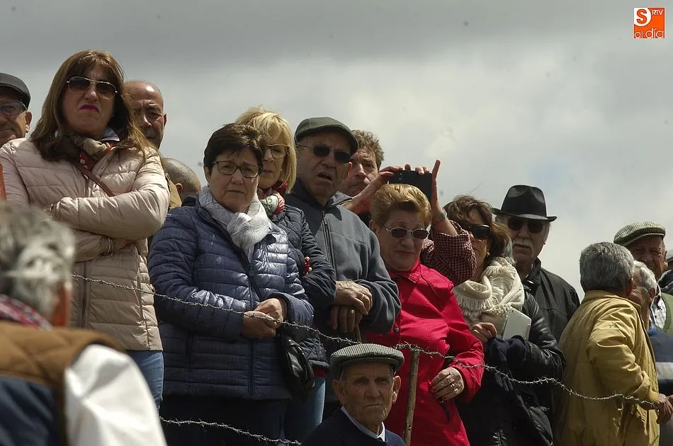 Foto 10 - La ca&iacute;da de un jinete, &uacute;nica incidencia del r&aacute;pido y compacto encierro sabatino de Gallegos  