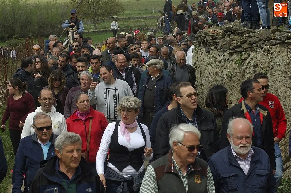 Foto 8 - La ca&iacute;da de un jinete, &uacute;nica incidencia del r&aacute;pido y compacto encierro sabatino de Gallegos  