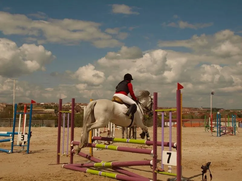 Foto 10 - El Centro ecuestre de Salamanca acoge la Liga Interclubes de saltos de obst&aacute;culos  