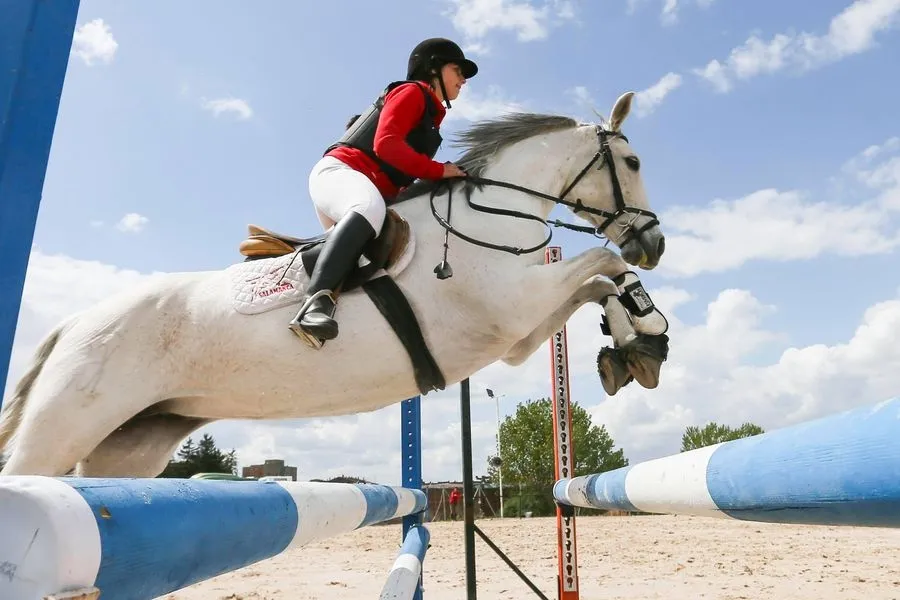 Foto 9 - El Centro ecuestre de Salamanca acoge la Liga Interclubes de saltos de obst&aacute;culos  