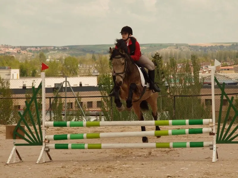 Foto 8 - El Centro ecuestre de Salamanca acoge la Liga Interclubes de saltos de obst&aacute;culos  