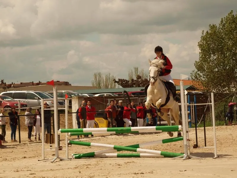 Foto 6 - El Centro ecuestre de Salamanca acoge la Liga Interclubes de saltos de obst&aacute;culos  