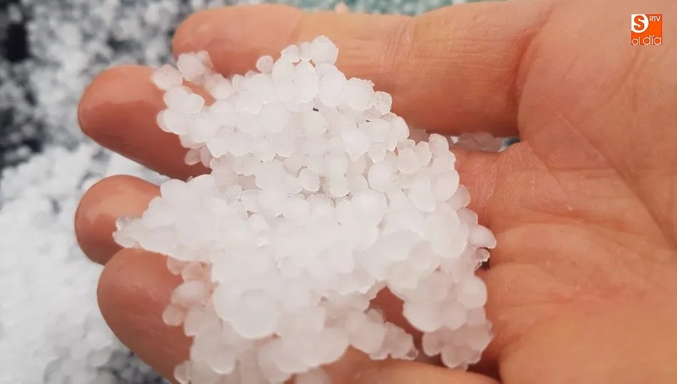 El granizo sacude a la cosecha de cereal en Las Villas  