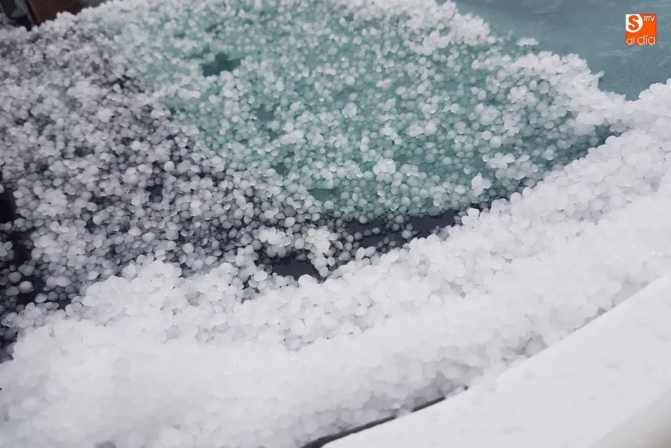Foto 2 - El granizo sacude a la cosecha de&nbsp;cereal en Las Villas  
