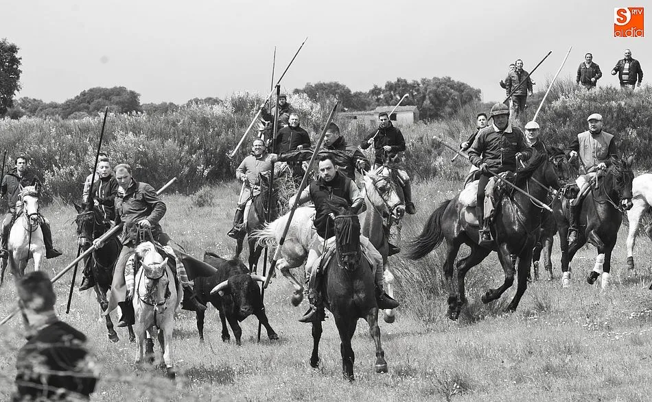El encierro a caballo dejó estampas para no olvidar/Foto:Adrián Martin