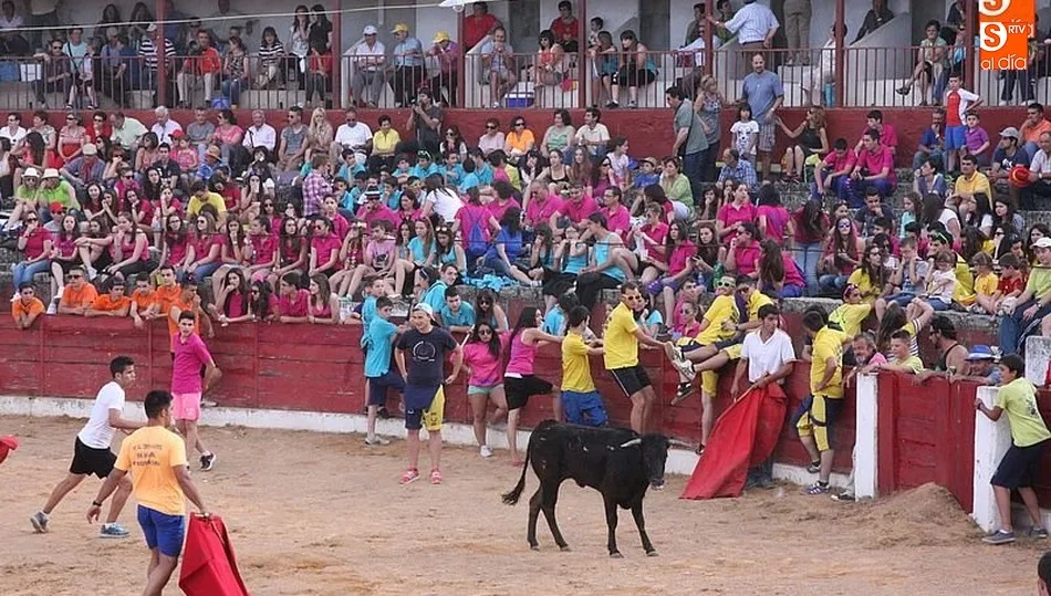 Vitigudino vivirá los Corpus en su centenaria plaza de toros