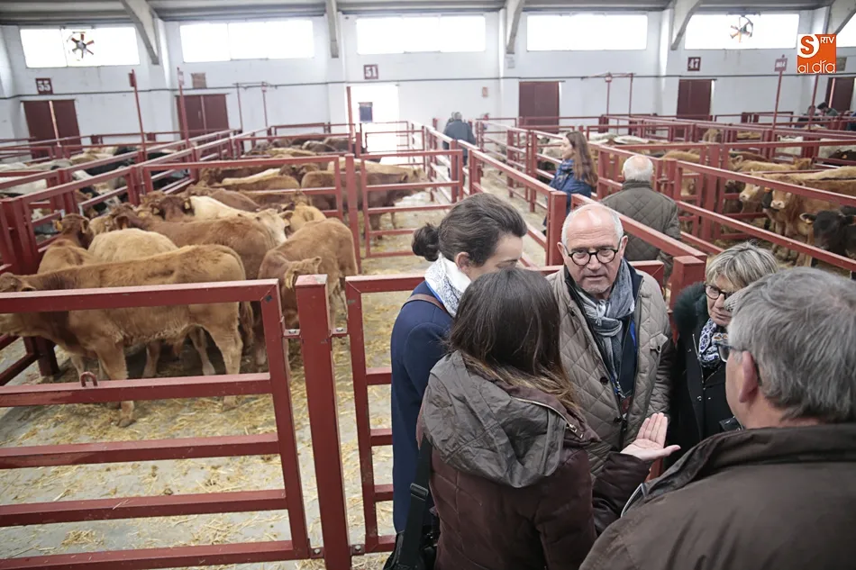 Foto 3 - Sanidad y bienestar animal, los principales retos de los mercados de ganado europeos