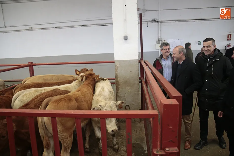 Foto 7 - Ciudadanos pedir&aacute; en las Cortes regionales que se aplique la prueba PCR para la tuberculosis bovina