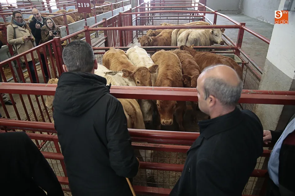 Foto 5 - Ciudadanos pedir&aacute; en las Cortes regionales que se aplique la prueba PCR para la tuberculosis bovina
