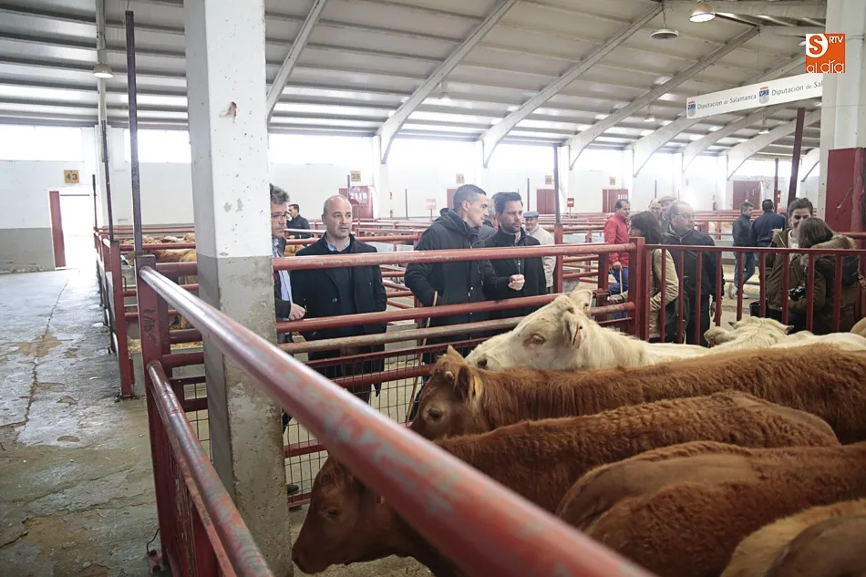 Foto 3 - Ciudadanos pedir&aacute; en las Cortes regionales que se aplique la prueba PCR para la tuberculosis bovina