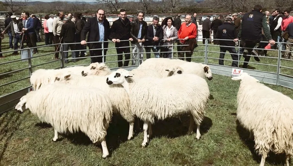 Los diputados provinciales de Cs y algunos concejales de varios municipios, en la feria ganadera de Barruecopardo