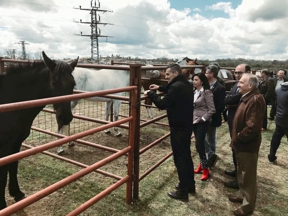 Foto 2 - Ciudadanos insta a la Diputaci&oacute;n a promocionar de forma m&aacute;s contundente las ferias agroganaderas  