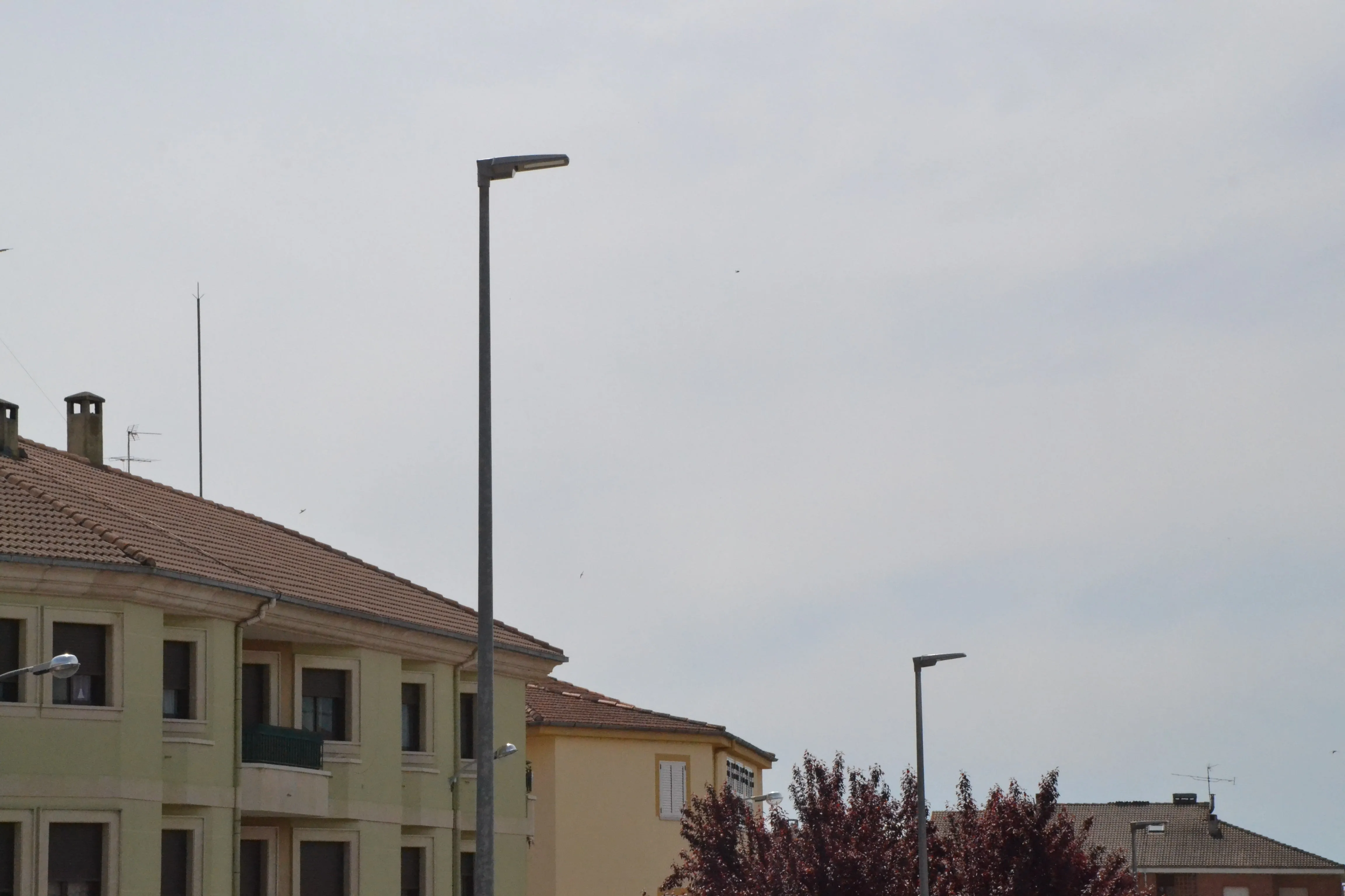 Completada la instalación de 72 luminarias tipo LED en varias zonas de la ciudad  