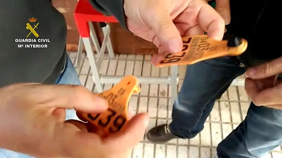 Los crotales utilizados por los detenidos ya habían sido utilizados