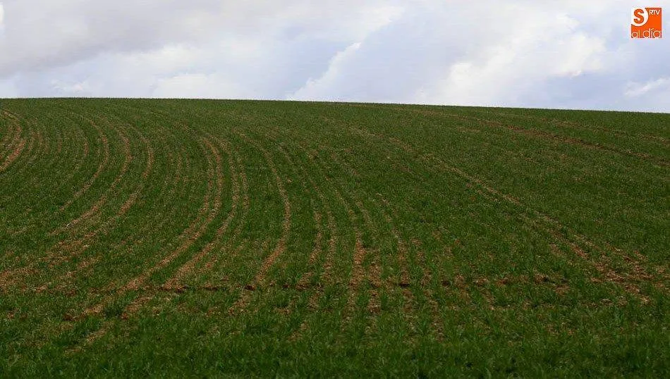 Los profesionales del campo están pendientes de los cambios en las ayudas de la PAC